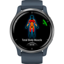 Смарт-часы GARMIN Venu 2 Blue Granite + Passivated (010-02430-10)
