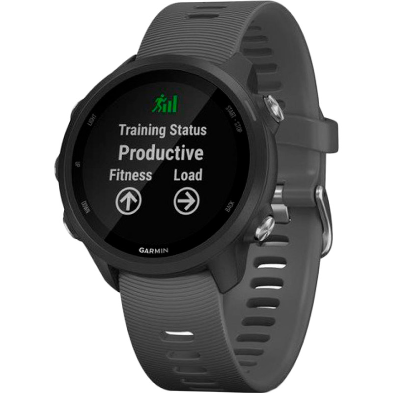 Смарт-часы GARMIN Forerunner 245 Black/Slate (010-02120-10)