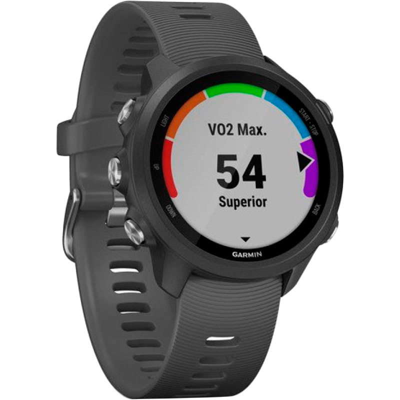 Смарт-часы GARMIN Forerunner 245 Black/Slate (010-02120-10) Функциональность для взрослых