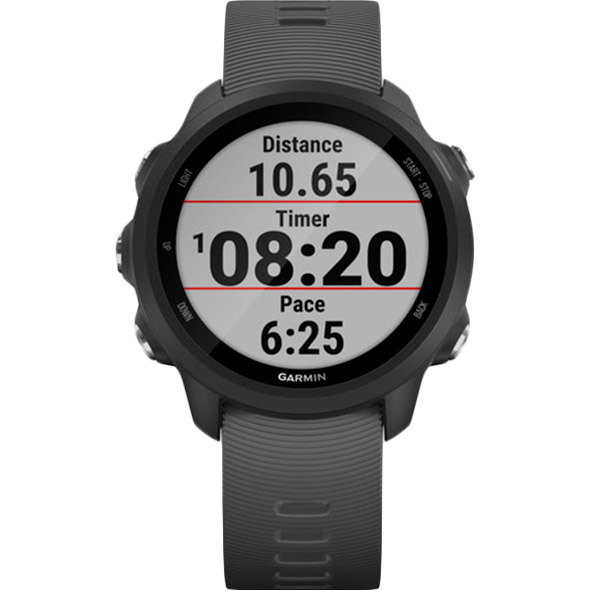 Фото Смарт-часы GARMIN Forerunner 245 Black/Slate (010-02120-10)