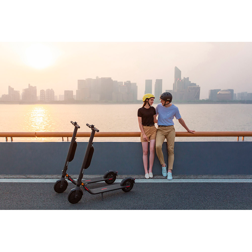 Заказать Электросамокат Segway Ninebot E45E Black (AA.00.0002.22)