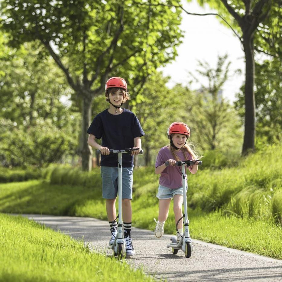 Покупка Електросамокат SEGWAY Ninebot C10 White (AA.00.0011.56)