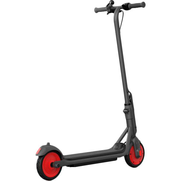 Электросамокат Segway Ninebot C20 Black (AA.00.0011.54) Вес, кг 10.6