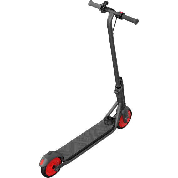 Заказать Электросамокат Segway Ninebot C20 Black (AA.00.0011.54)