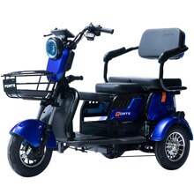 Трицикл FORTE Family-P600 Синий + аккумулятор 12V20A/25А 5 шт. (145225)