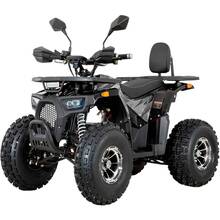 Квадроцикл FORTE FFD1500 Black (145434)