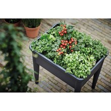 Столик для теплиці ELHO Green Basics Grow Super XXL 92 л Black (303945)