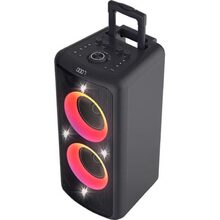 Портативная акустика F&D PA300 Black (PA300)