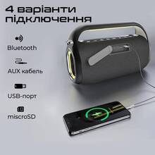 Портативна акустика HIFUTURE Musicbox 100 Black (musicbox100.black)