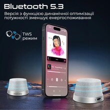 Портативная акустика PROMATE Punch 3W Silver (punch silver)