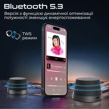 Портативная акустика PROMATE Punch Black (punch.black)
