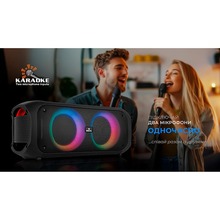 Портативна акустика REAL EL X-795 (EL121600022)