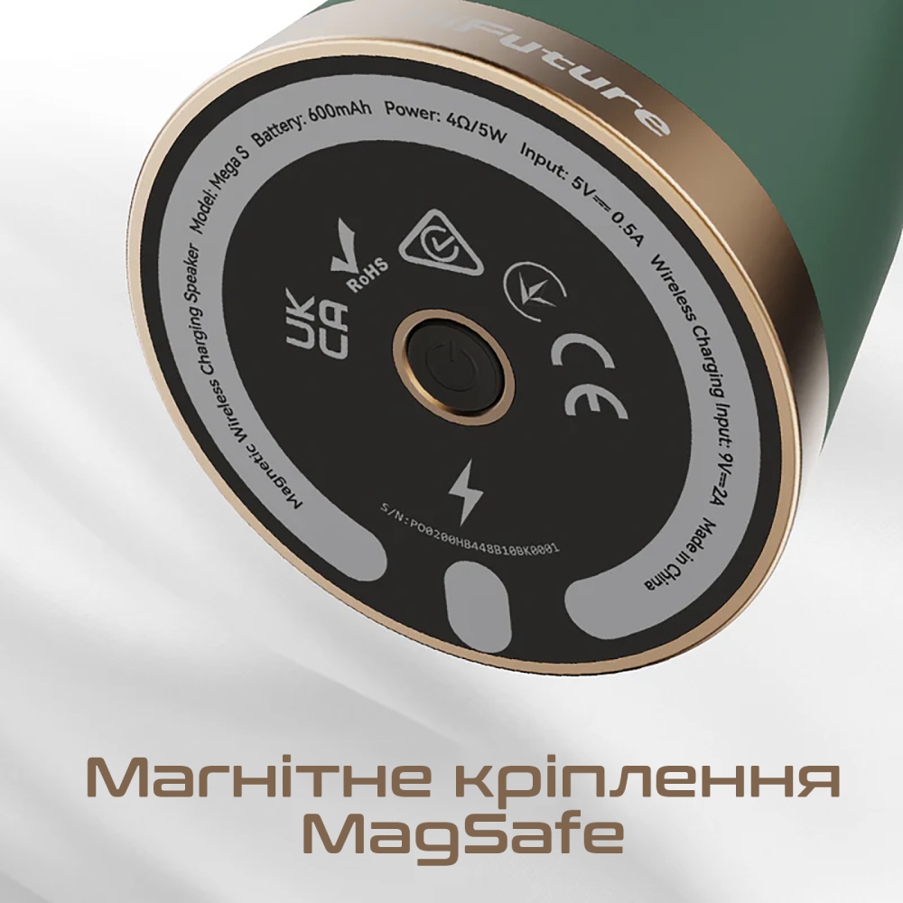 Портативная акустика HIFUTURE Mega-S Black (mega-s.black) Формат 1.0