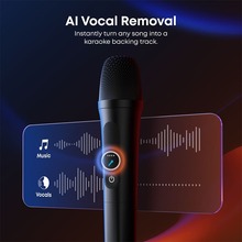 Портативная колонка ANKER SoundСore Rave 3S Black (A31A3012)