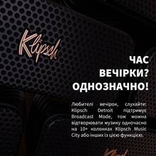 Портативна акустика KLIPSCH Nashville Black (1071975)