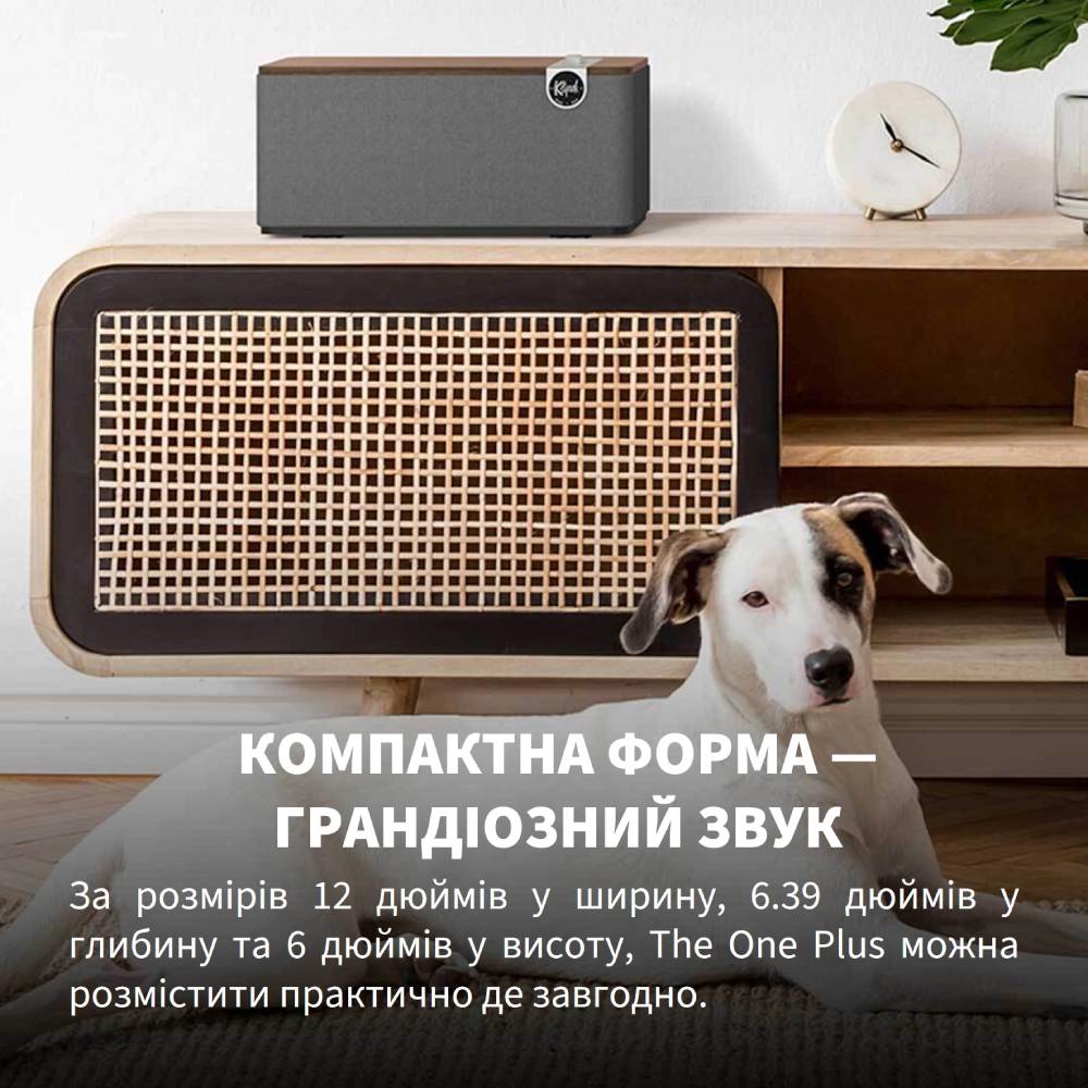 В Україні Портативна акустика KLIPSCH The One Plus Matt Black (1071959)