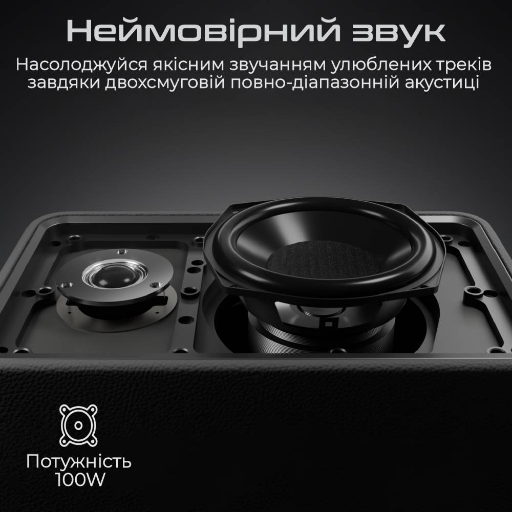 Портативна акустика HIFUTURE Passion X Black (passion-x.black) Тип портативна акустика
