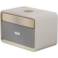 Купити у Запоріжжі - Портативна акустика HIFUTURE Passion X Latte (passion-x.latte)