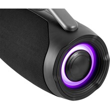 Портативная акустика REAL EL X-755 Black (EL121600031)