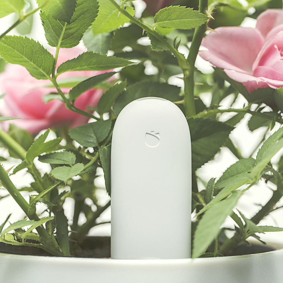 Датчик для рослин XIAOMI Smart Flower and Plant Monitor (Р27252) Живлення CR2032, 3В