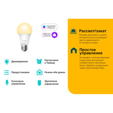 Умная лампочка TP-LINK Tapo L510E