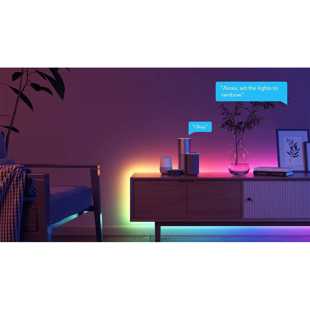 Умная светодиодная лента GOVEE H618С RGBIC Basic Wi-Fi + Bluetooth LED Strip (H618C3D1) Тип LED-лента