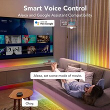 Розумна світлодіодна стрічка GOVEE H619A RGBIC Basic Wi-Fi + Bluetooth LED Strip Light (H619A3D1)