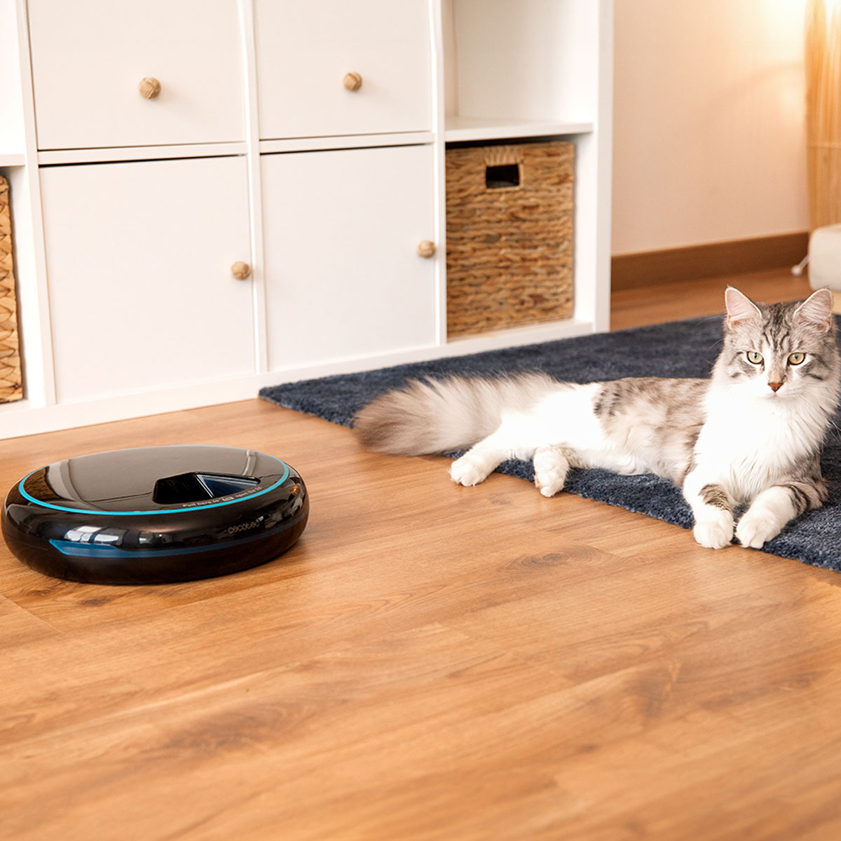 Фото 16 Годівниця для тварин CECOTEC Comedero dispensador Pumba 1600 Purrfect Meal (CCTC-09562)