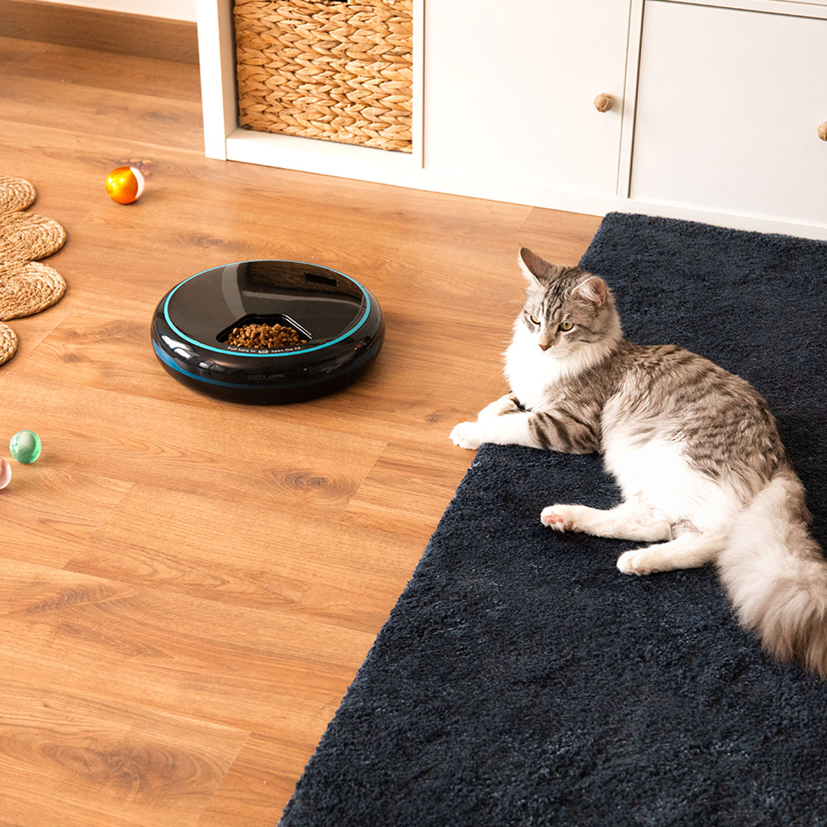 У Фокстрот Годівниця для тварин CECOTEC Comedero dispensador Pumba 1600 Purrfect Meal (CCTC-09562)