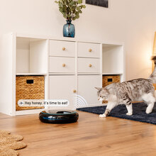 Годівниця для тварин CECOTEC Comedero dispensador Pumba 1600 Purrfect Meal (CCTC-09562)