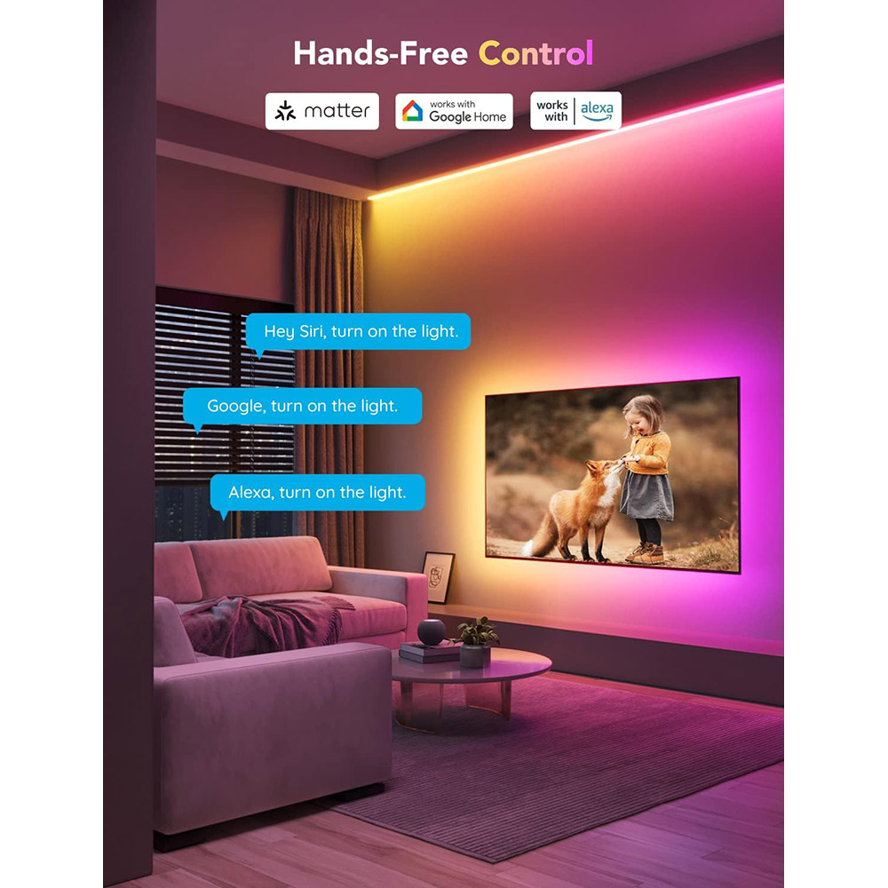 Розумна світлодіодна стрічка GOVEE LED H100E M1 Matter Compatible 1m extension of H61E1 (H100E0D1) Сумісність Amazon Alexa, Apple HomeKit, Google Assistant