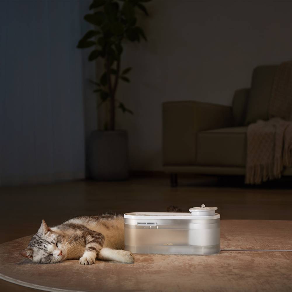 Внешний вид Поилка для животных MOVA Pet Grooming WF10 Pro (PWB20A)