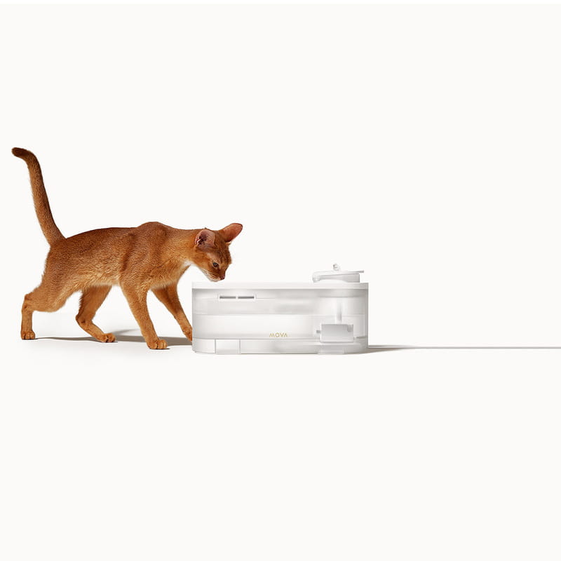 Поилка для животных MOVA Pet Grooming WF10 Pro (PWB20A) Тип поилка для животных