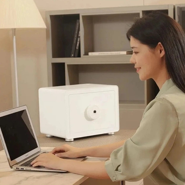 Фото Розумний сейф CRMCR Xiaomi 25Z BGX-X1-25Z