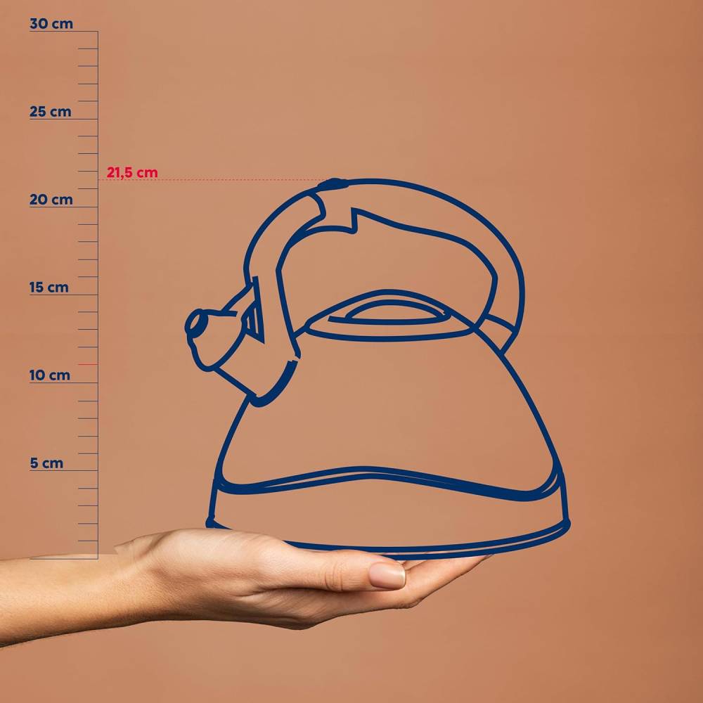 Чайник KELA Varus 3 л (11655) Матеріал ручки бакеліт