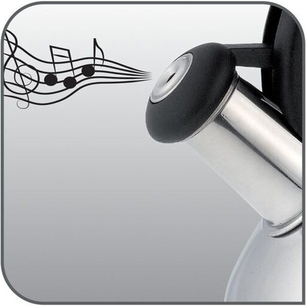 Чайник TEFAL Duetto+ 2.5 л (N4180310) Матеріал корпуса нержавіюча сталь