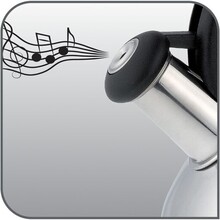 Чайник TEFAL Duetto+ 2.5 л (N4180310)