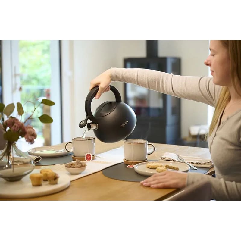 Чайник TEFAL Duetto+ 2.5 л Matte Black (N4180410) Материал корпуса нержавеющая сталь