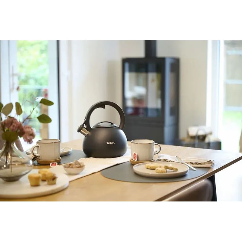 Чайник TEFAL Duetto+ 2.5 л Matte Black (N4180410) Объем 2.5