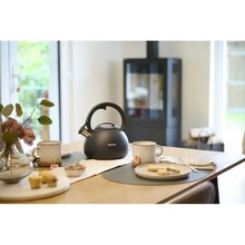 Чайник TEFAL Duetto+ 2.5 л Matte Black (N4180410)