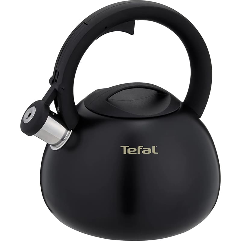 Чайник TEFAL Duetto+ 2.5 л Matte Black (N4180410)