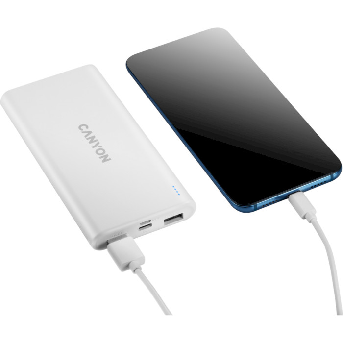 Powerbank CANYON PB-106 10000mAh White (CNE-CPB1006W) Тип аккумулятора Li-Pol