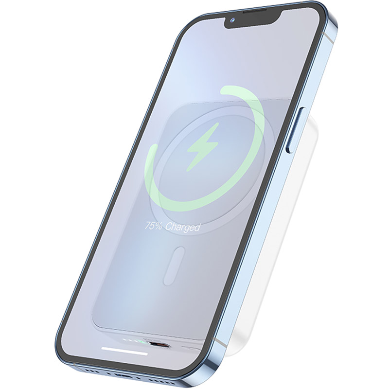 Powerbank BOROFONE BJ25 Plus Reach 10000mAh White (6941991105326) Вхідний роз'єм USB Type-C