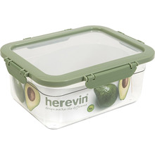 Контейнер HEREVIN Container-Green 2.2 л (161420-153)