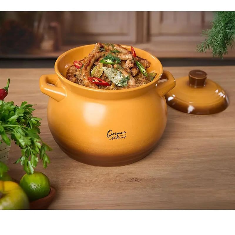 Покупка Керамічний горщик HEINNER 6 л (HR-FJ-070)