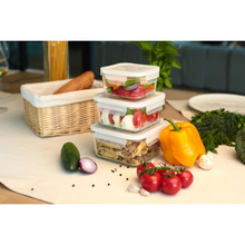 Набір контейнерів MIFAMILIA Nested Collection 3 шт (6033-6086-6034)