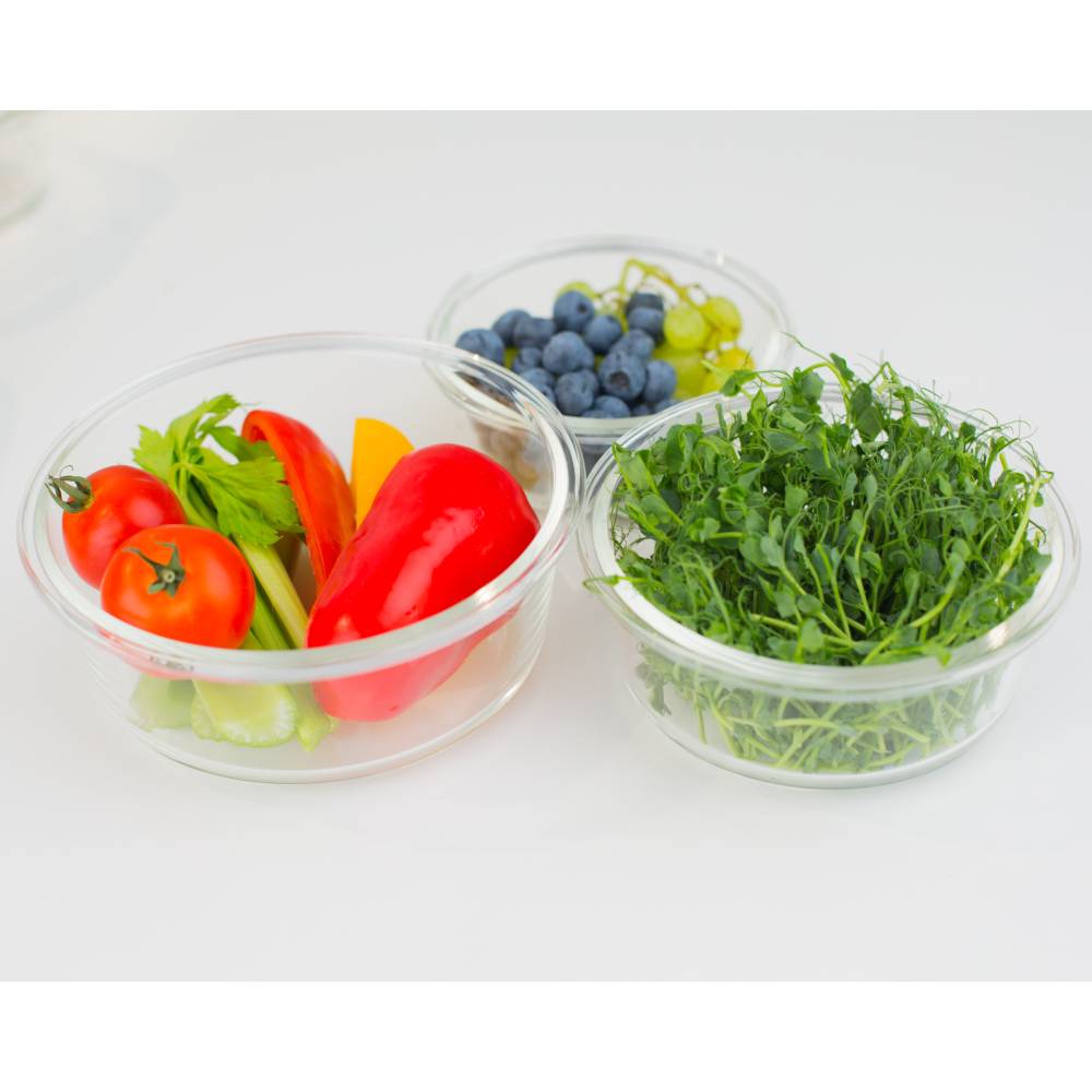 Замовити Контейнер miFamilia 650 мл Full wrapped collection (6308)