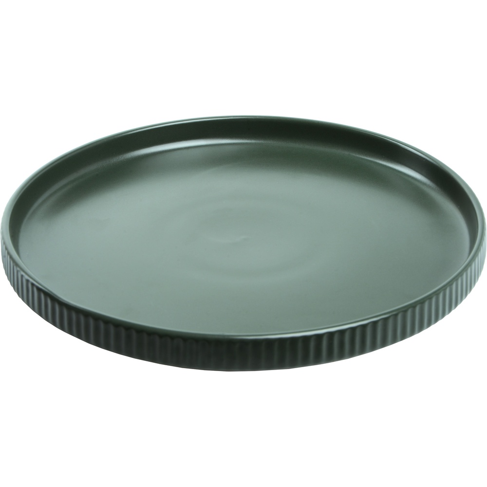 Тарелка столовая мелкая LIMITED EDITION Robust Green 26.5 см (TRSC-PS2505-G105P)