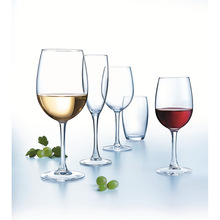 Набір келихів ARCOROC VINA 6х480 мл (L1348/1)