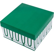 Сервіз HANNA HOME Green line 220 мл 2 ін (922-061)